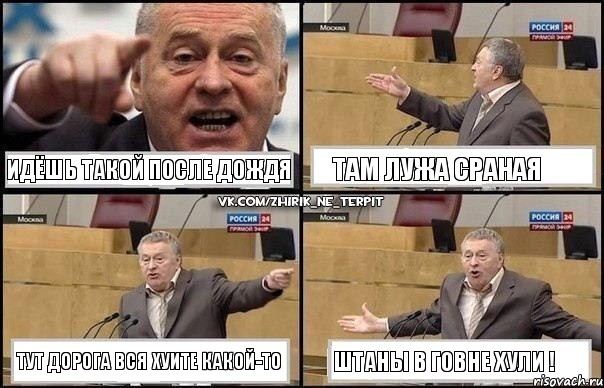 Идёшь такой после дождя Там лужа сраная Тут дорога вся хуите какой-то Штаны в говне Хули !, Комикс Жириновский