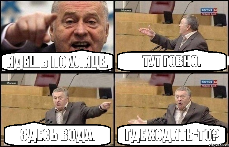 Идешь по улице. Тут говно. Здесь вода. Где ходить-то?, Комикс Жириновский