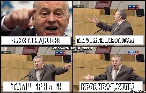 Захожу к Адильке. Там у нее рыжие волосы! Там черные! Красивая, хуле!, Комикс Жириновский