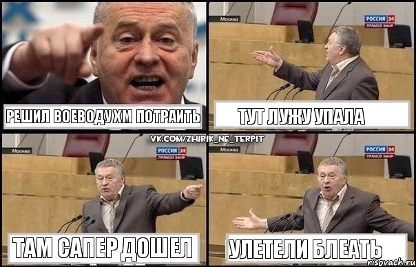 Решил Воеводу ХМ потраить Тут лужу упала Там сапер дошел Улетели блеать, Комикс Жириновский