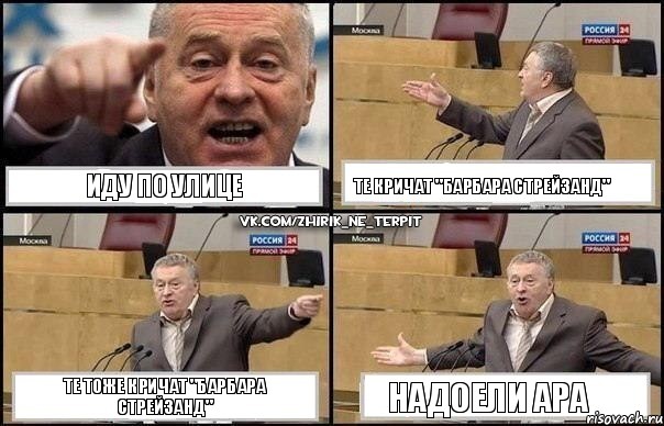 иду по улице те кричат "барбара стрейзанд" те тоже кричат "барбара стрейзанд" надоели ара, Комикс Жириновский