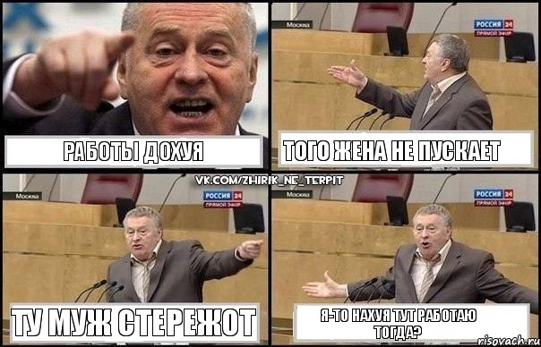 Работы дохуя Того жена не пускает Ту муж стережот Я-то нахуя тут работаю тогда?, Комикс Жириновский