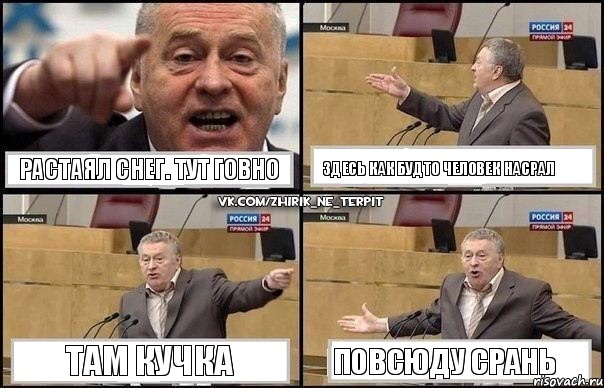 растаял снег. тут говно здесь как будто человек насрал там кучка повсюду срань, Комикс Жириновский