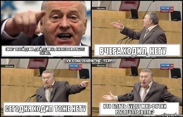 Сижу такой дома. Дай, думаю, к Илюхе на работу схожу. Вчера Ходил, нету Сегодня ходил тоже нету Кто Блять будет мне фотки распечатывать?, Комикс Жириновский