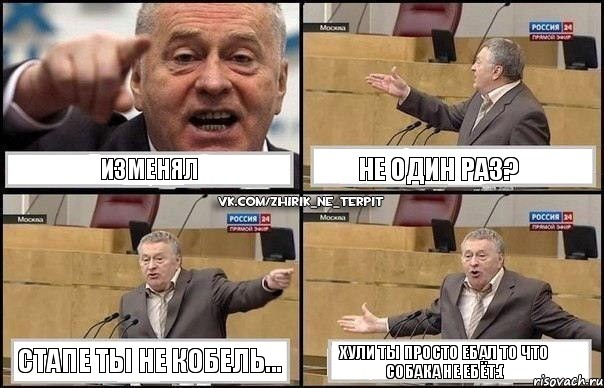 изменял не один раз? стапе ты не кобель... хули ты просто ебал то что собака не ебёт:(, Комикс Жириновский