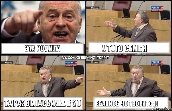 Эта родила У того семья Та развелась уже в 20 Ебанись чо творится!, Комикс Жириновский