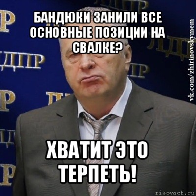 бандюки занили все основные позиции на свалке? хватит это терпеть!, Мем Хватит это терпеть (Жириновский)