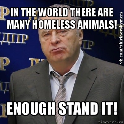in the world there are many homeless animals! enough stand it!, Мем Хватит это терпеть (Жириновский)