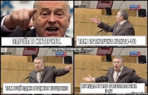 Зашёл в интернет. Там ебанашка какая-то Там ещё один пациент Кащенко Ну куда от вас съебаться уже ? А?, Комикс Жириновский