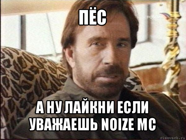 пёс а ну лайкни если уважаешь noize mc, Мем чак норрис