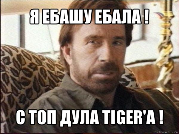 я ебашу ебала ! с топ дула tiger'а !, Мем чак норрис