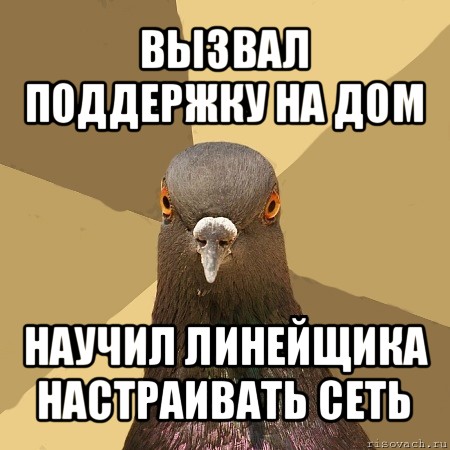 вызвал поддержку на дом научил линейщика настраивать сеть, Мем голубь