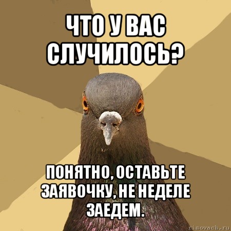 что у вас случилось? понятно, оставьте заявочку, не неделе заедем., Мем голубь