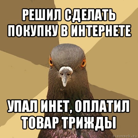 решил сделать покупку в интернете упал инет, оплатил товар трижды, Мем голубь