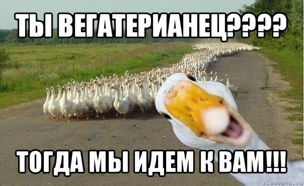 ты вегатерианец??? тогда мы идем к вам!!!, Мем гуси