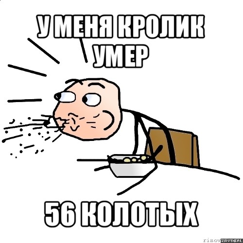 у меня кролик умер 56 колотых