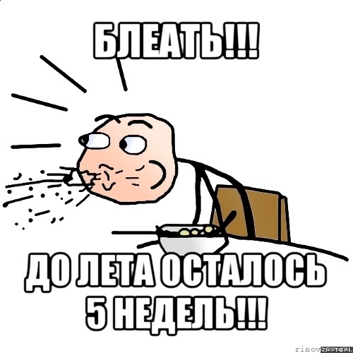 блеать!!! до лета осталось 5 недель!!!