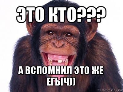 это кто??? а вспомнил это же егыч)), Мем мавпа