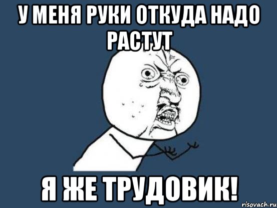 у меня руки откуда надо растут я же трудовик!, Мем Ну почему