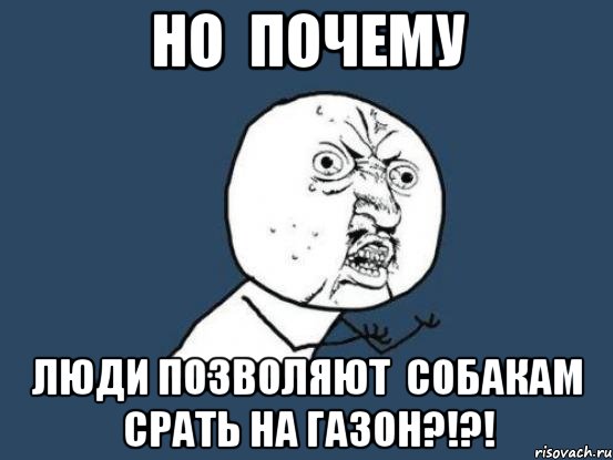 но почему люди позволяют собакам срать на газон?!?!, Мем Ну почему