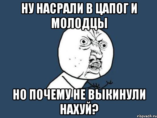 ну насрали в цапог и молодцы но почему не выкинули нахуй?, Мем Ну почему