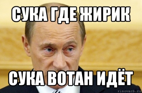 сука где жирик сука вотан идёт, Мем путин