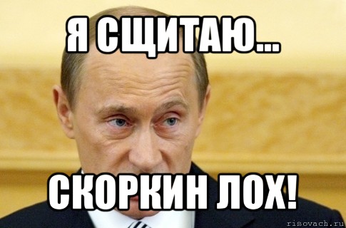 я сщитаю... скоркин лох!, Мем путин