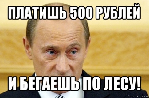 платишь 500 рублей и бегаешь по лесу!, Мем путин