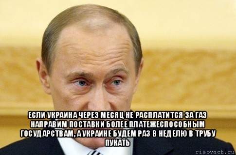  если украина через месяц не расплатится за газ направим поставки более платежеспособным государствам, а украине будем раз в неделю в трубу пукать, Мем путин