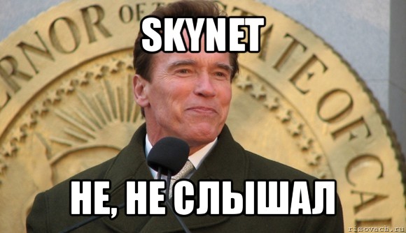 skynet не, не слышал