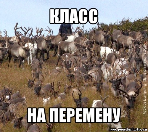 класс на перемену