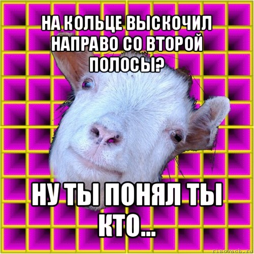 на кольце выскочил направо со второй полосы? ну ты понял ты кто..., Мем типичная коза