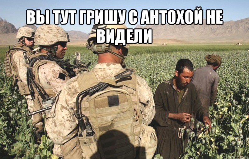 вы тут гришу с антохой не видели 