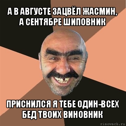 а в августе зацвёл жасмин, а сентябре шиповник приснился я тебе один-всех бед твоих виновник, Мем Я твой дом труба шатал