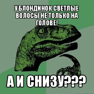 у блондинок светлые волосы не только на голове! а и снизу???, Мем Филосораптор