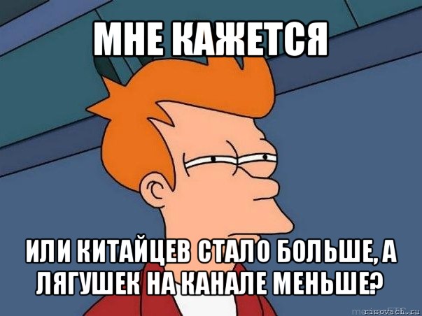 мне кажется или китайцев стало больше, а лягушек на канале меньше?, Мем  Фрай (мне кажется или)