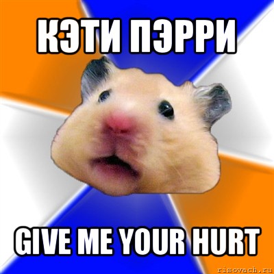 кэти пэрри give me your hurt, Мем Хомяк