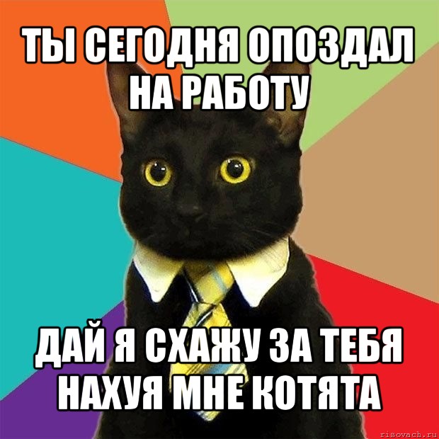 ты сегодня опоздал на работу дай я схажу за тебя нахуя мне котята, Мем  Кошечка