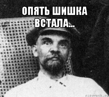 опять шишка встала... , Мем   Ленин удивлен