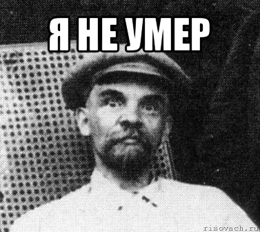 я не умер 