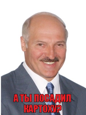 а ты посадил картоху?, Комикс Лукашенко