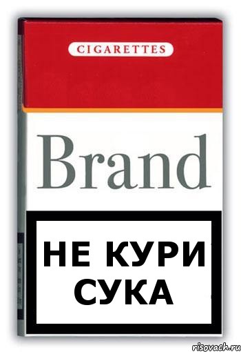 НЕ КУРИ СУКА