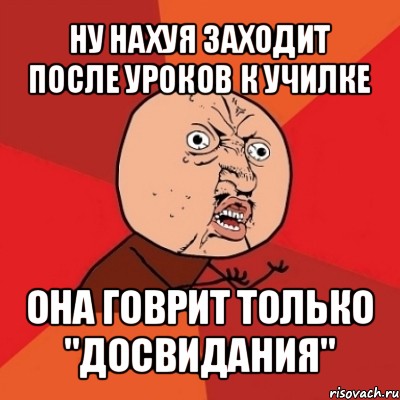 ну нахуя заходит после уроков к училке она говрит только "досвидания", Мем Почему