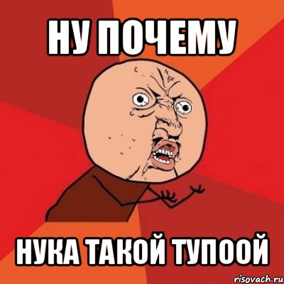 ну почему нука такой тупоой, Мем Почему