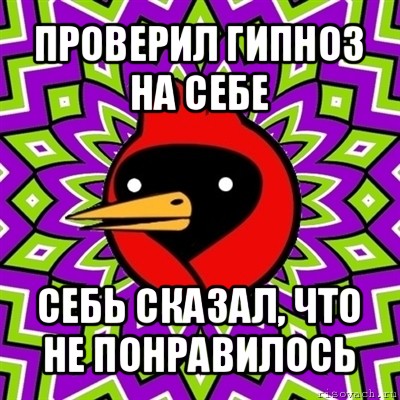 проверил гипноз на себе себь сказал, что не понравилось, Мем Омская птица