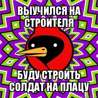 выучился на строителя буду строить солдат на плацу, Мем Омская птица