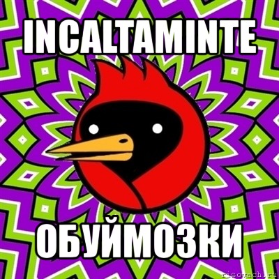 incaltaminte обуймозки, Мем Омская птица