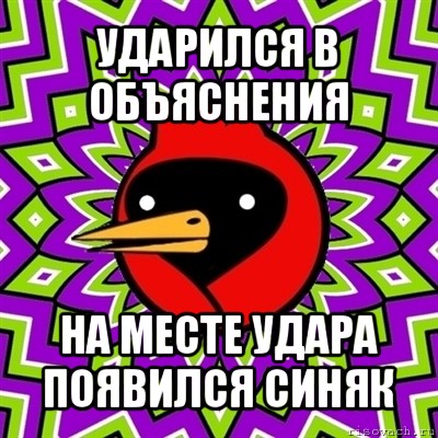 ударился в объяснения на месте удара появился синяк, Мем Омская птица