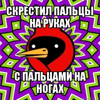 скрестил пальцы на руках с пальцами на ногах, Мем Омская птица