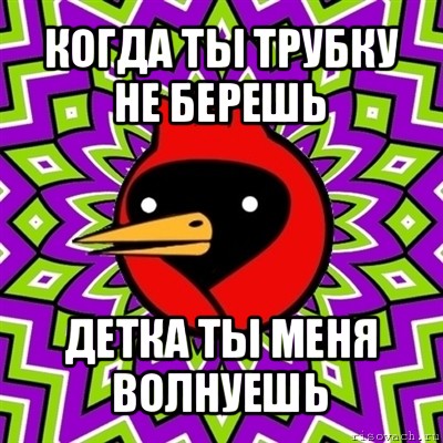 когда ты трубку не берешь детка ты меня волнуешь, Мем Омская птица